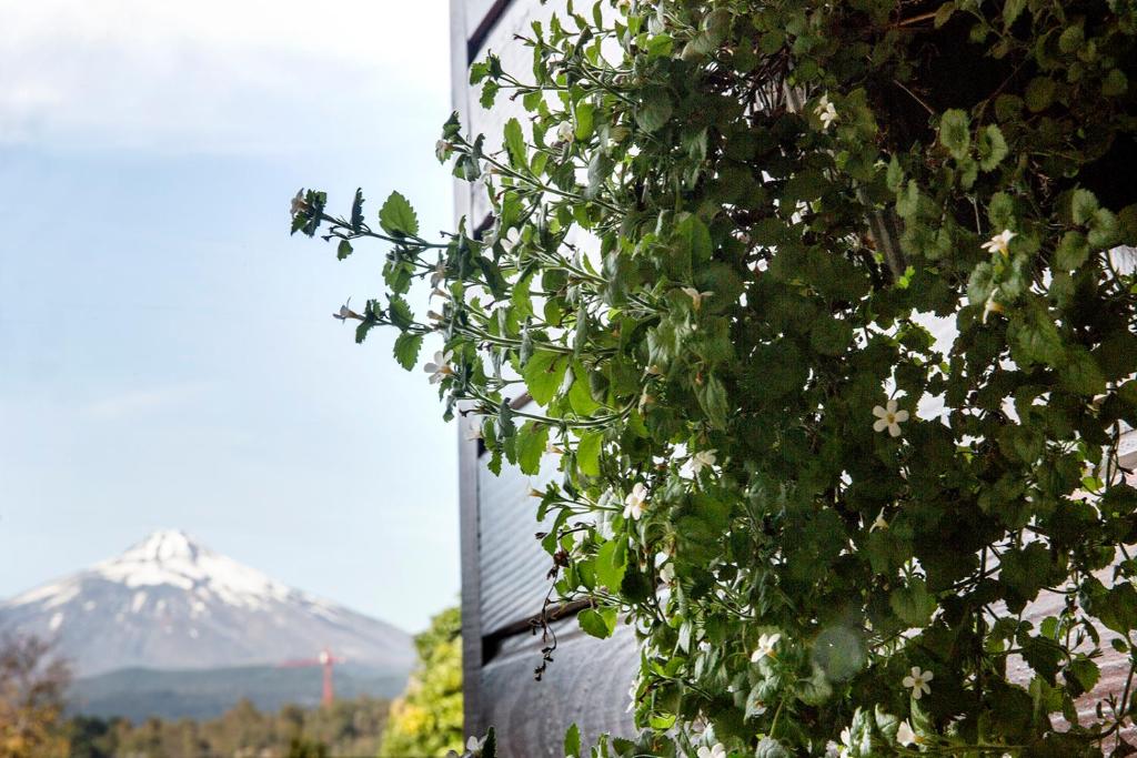 Paisaje cerca de este hotel