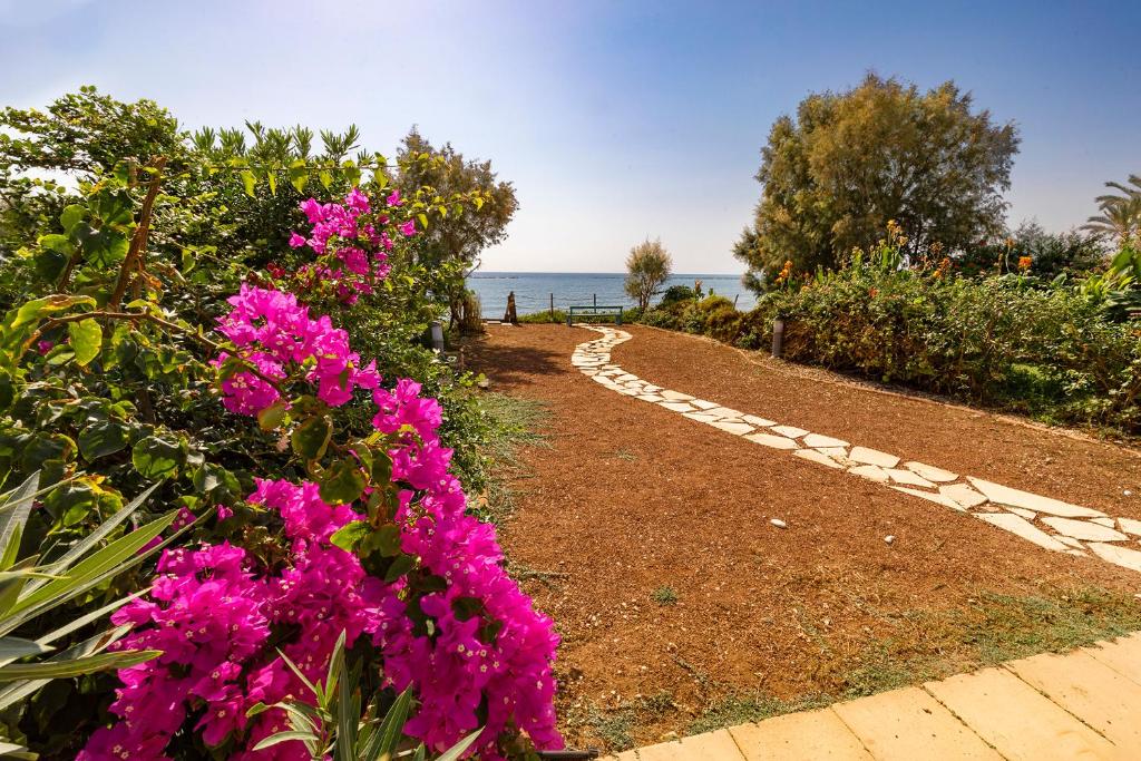 un camino con flores rosas y el océano en el fondo en Mariliz en Lárnaca