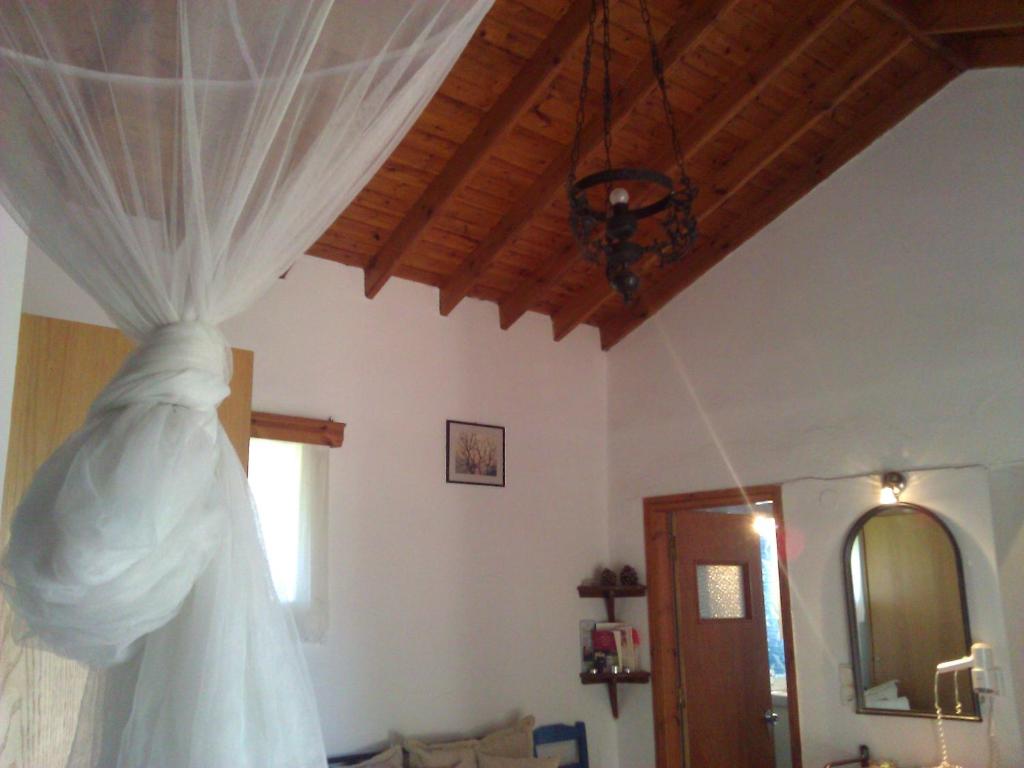 Lela Kaptani Eftalou Olive Grove - Studio (2 Adultes)