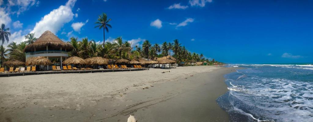 Los Tambos Del Caribe