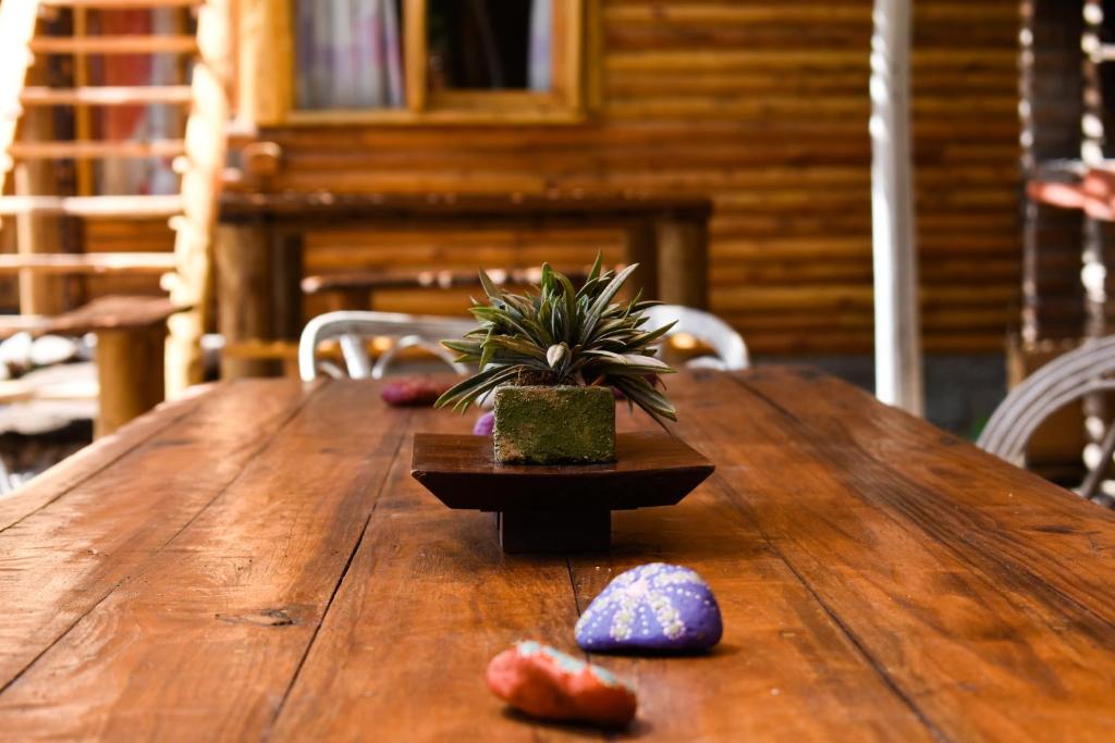 Fotografie z fotogalerie ubytování Infinito Chill0ut v destinaci San Marcos Sierra