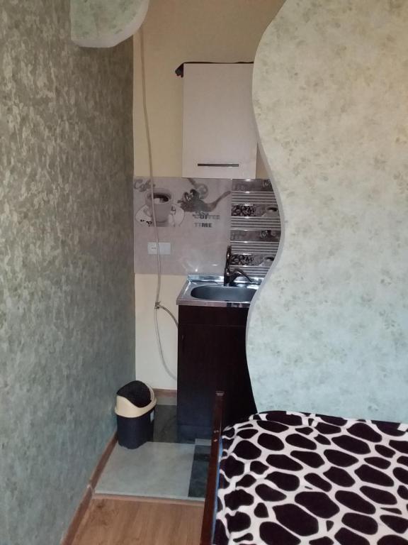 Kuchyň nebo kuchyňský kout v ubytování Guest House Medea