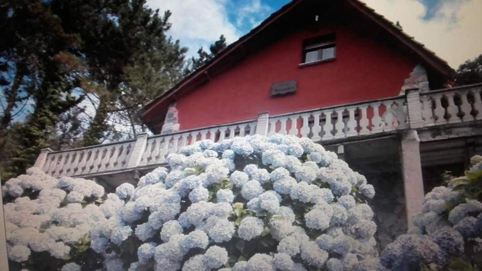 uma grande pilha de flores em frente a uma casa em Villa Alejandra em Cudillero