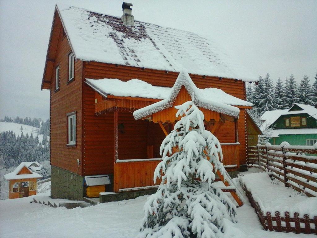 Romashka Guest House v zimě