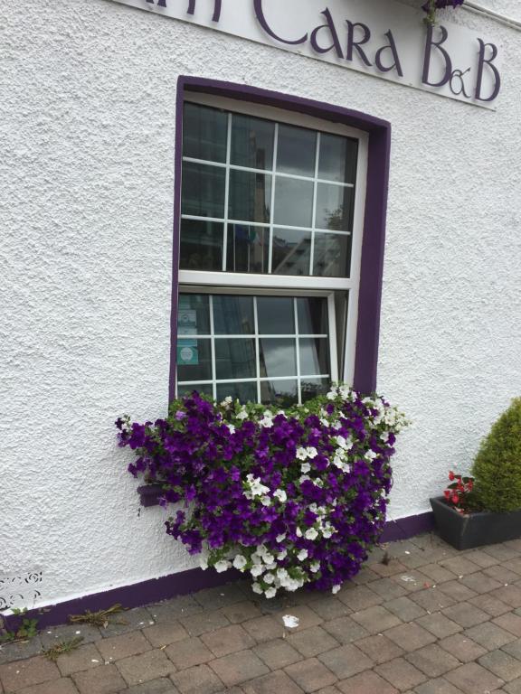 Fotografie z fotogalerie ubytování Anam Cara B&B v destinaci Cork