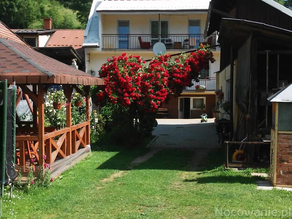 a bunch of red flowers hanging from a building at Pokoje u Szlachty in Szczawnica