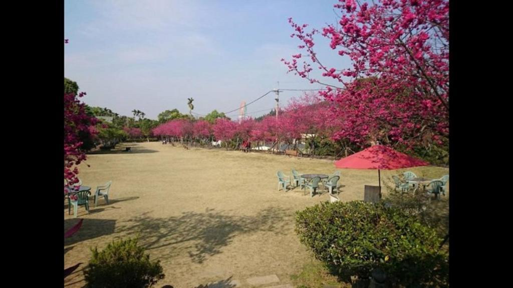 a park with tables and chairs and pink trees at Lakeside Camping Resort in Gukeng