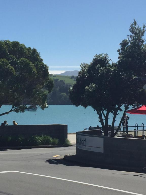 a parking lot with a tree next to a body of water at The Studio Akaroa in Akaroa
