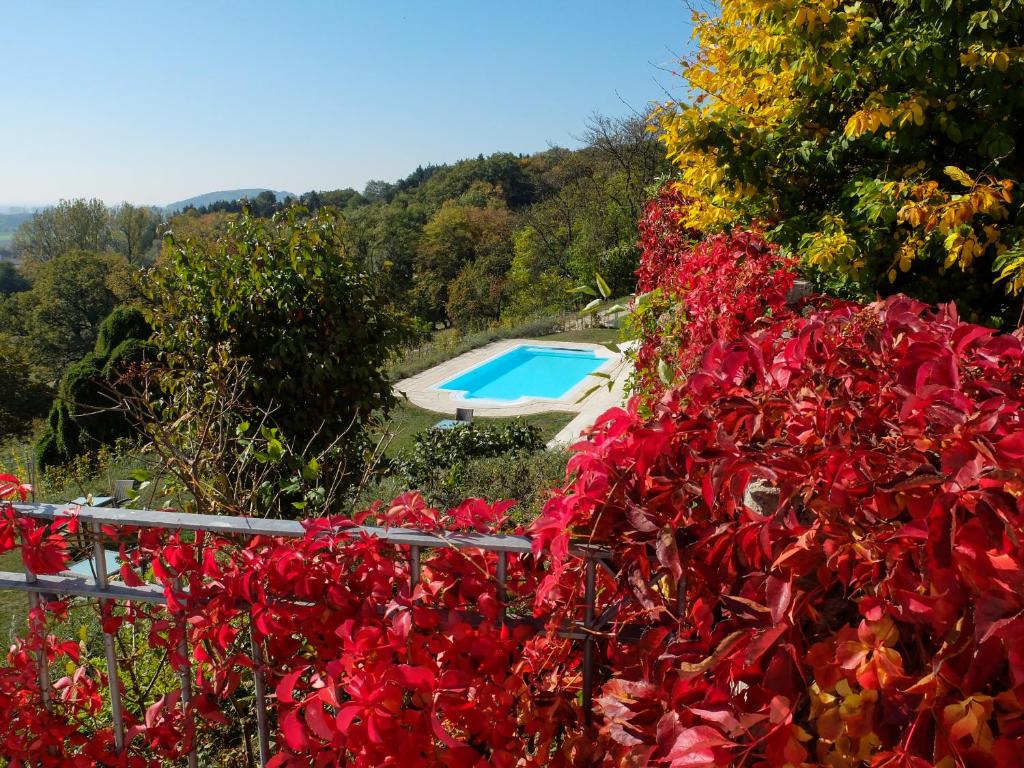 Bazén v ubytování Hotel Schloss Leitheim nebo v jeho okolí