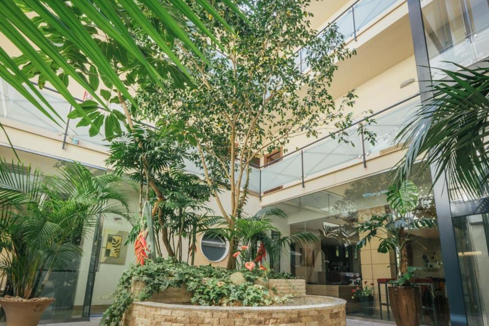 a large tree in the middle of a building at Hotel Costa Azul in Balestrate