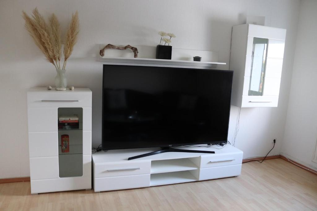 TV a/nebo společenská místnost v ubytování Gemütliche Wohnung