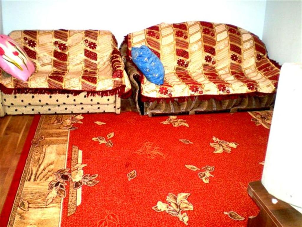 ムィコラーイウにある1 ком квартира Соборная-Макарова Wi-Fi, Макдональдс, самый центр Николаева 2 дивана 2 этажの赤い敷物を敷いた部屋に座るソファ