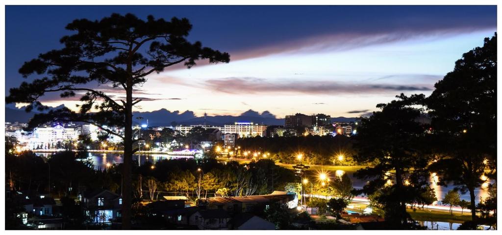 een uitzicht op een stad in de nacht met een boom bij Jolie Maison Đà Lạt in Da Lat