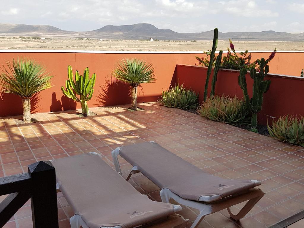 a patio with two chairs and cacti and a table at El Cotillo in El Cotillo