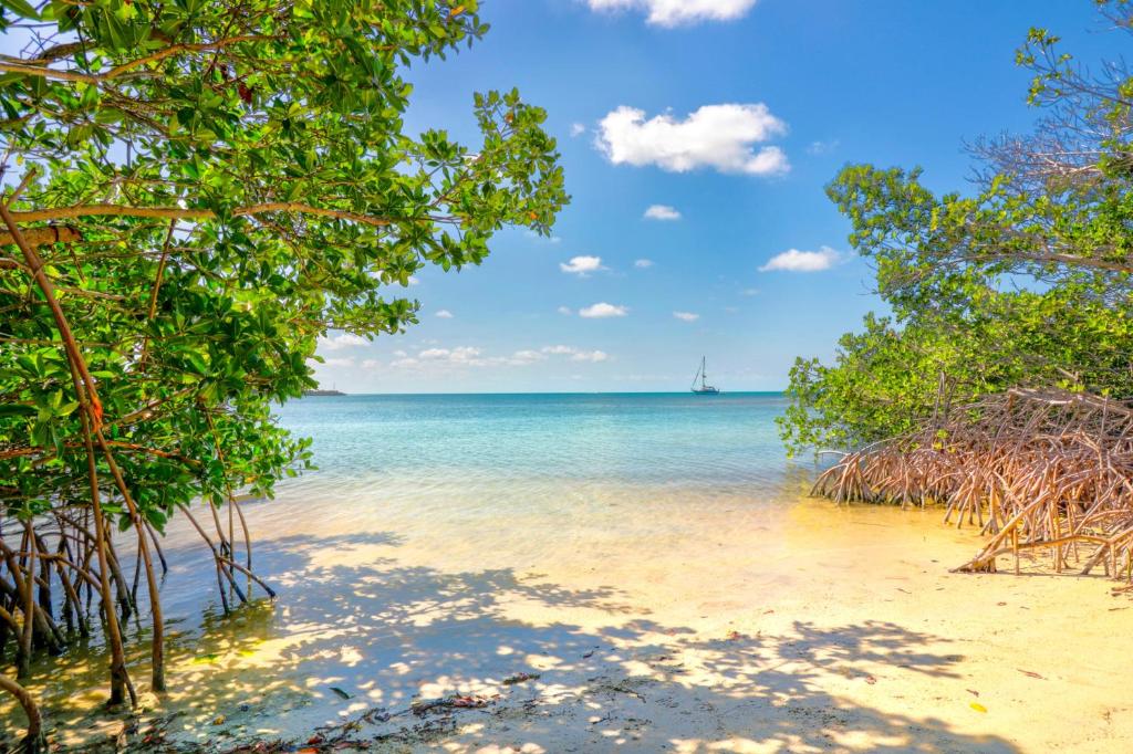 een strand met bomen en de oceaan op de achtergrond bij Fiesta Key RV Resort Premium Room 3 in Layton