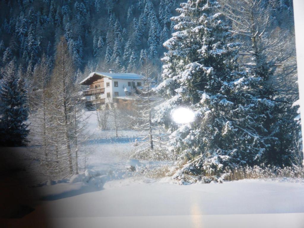 a snow covered tree in front of a house at Alpenchalet in Steinberg am Rofan