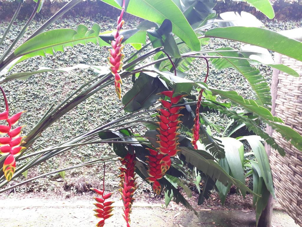  Pousada Aquarium