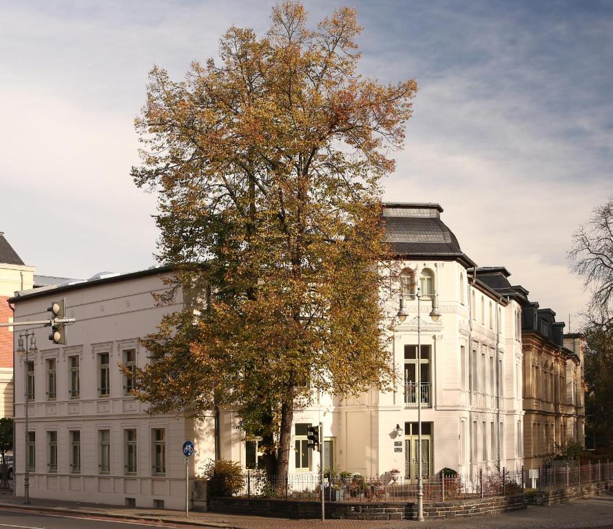 un árbol frente a un edificio blanco en Villa Köhler Ferienwohnung, en Altemburgo