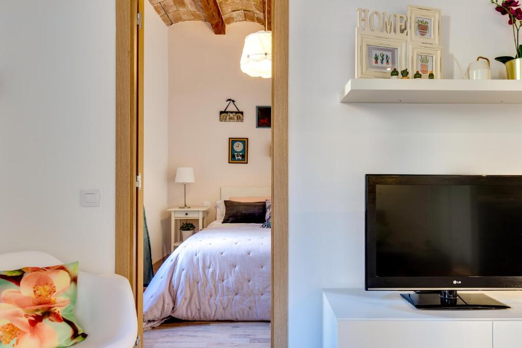 Televízia a/alebo spoločenská miestnosť v ubytovaní Charming & Convenient Apartment Near Plaza Espanya