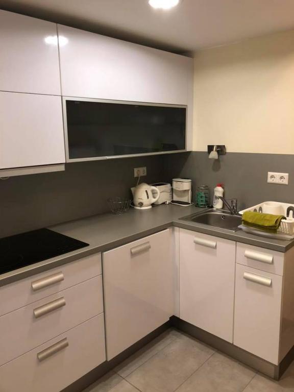 Kuchyň nebo kuchyňský kout v ubytování Velence Wellness Apartman