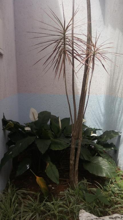  Pousada Licuri