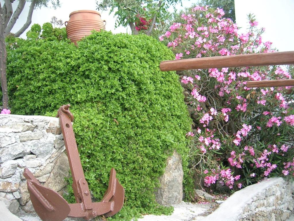 La Veranda of Mykonos Traditional Guesthouse - 3