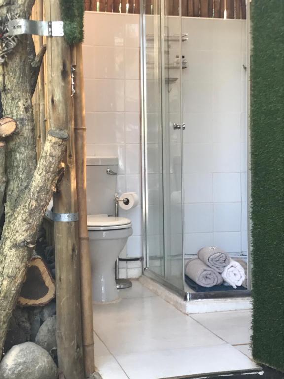 uma casa de banho com uma cabina de duche em vidro e um WC. em Masinga em Hillcrest