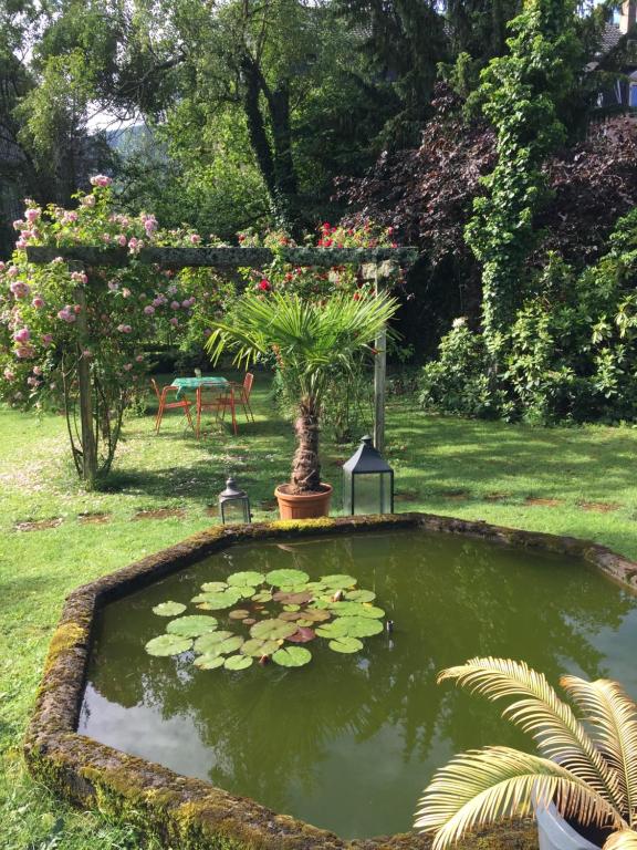 Zahrada ubytování Villa Grimm