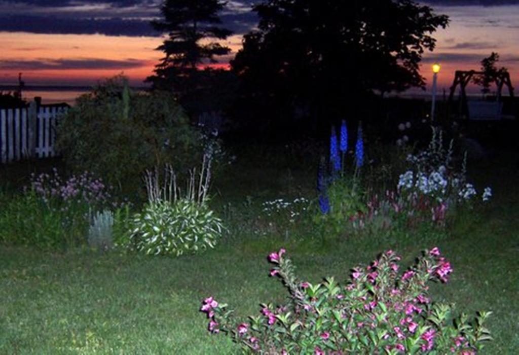 a garden with flowers in the grass at dusk at Gite La Ptite Falaise hébergement touristique in Sainte-Anne-des-Monts