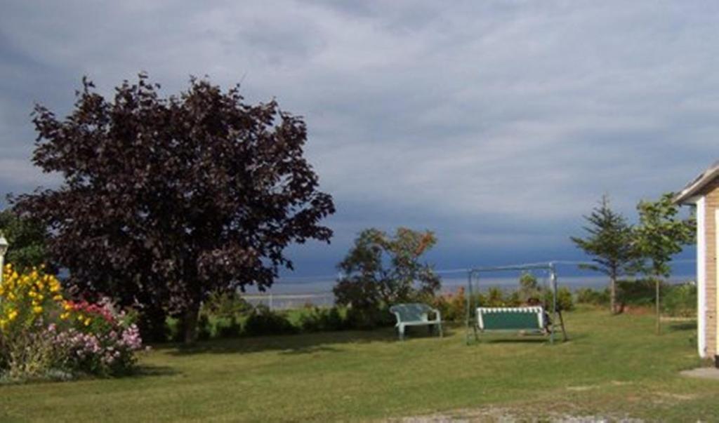 a yard with a bench and a tree and the ocean at Gite La Ptite Falaise hébergement touristique in Sainte-Anne-des-Monts