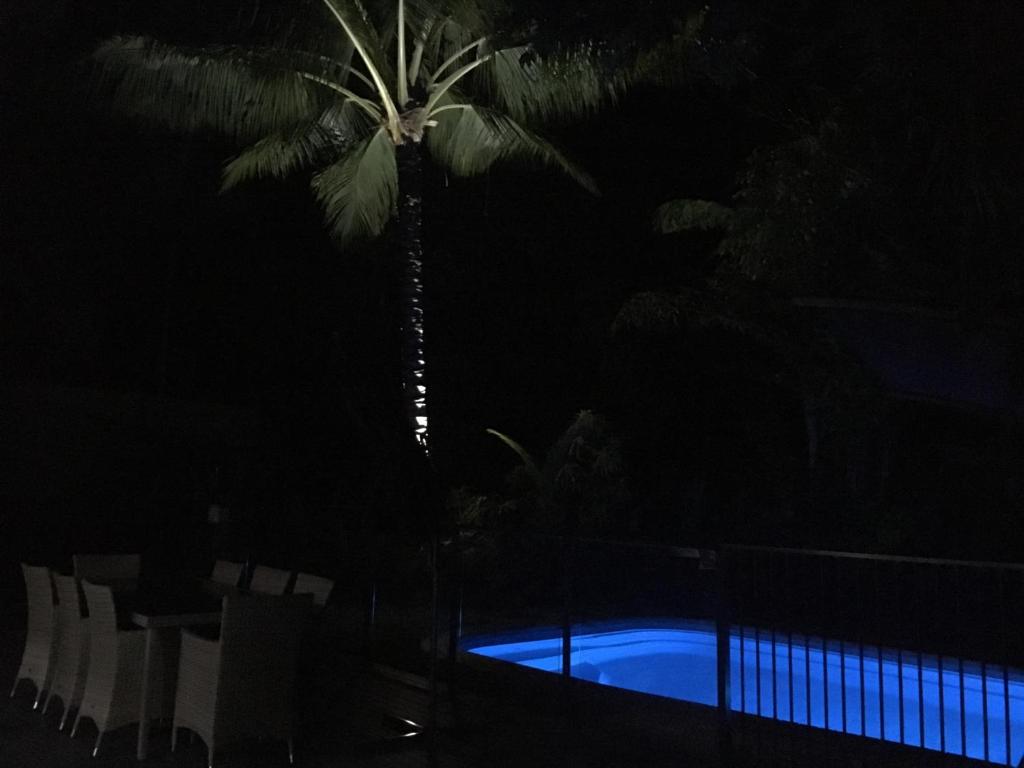 Bassein majutusasutuses Heated Pool & Tropical Private Open Space või selle lähedal