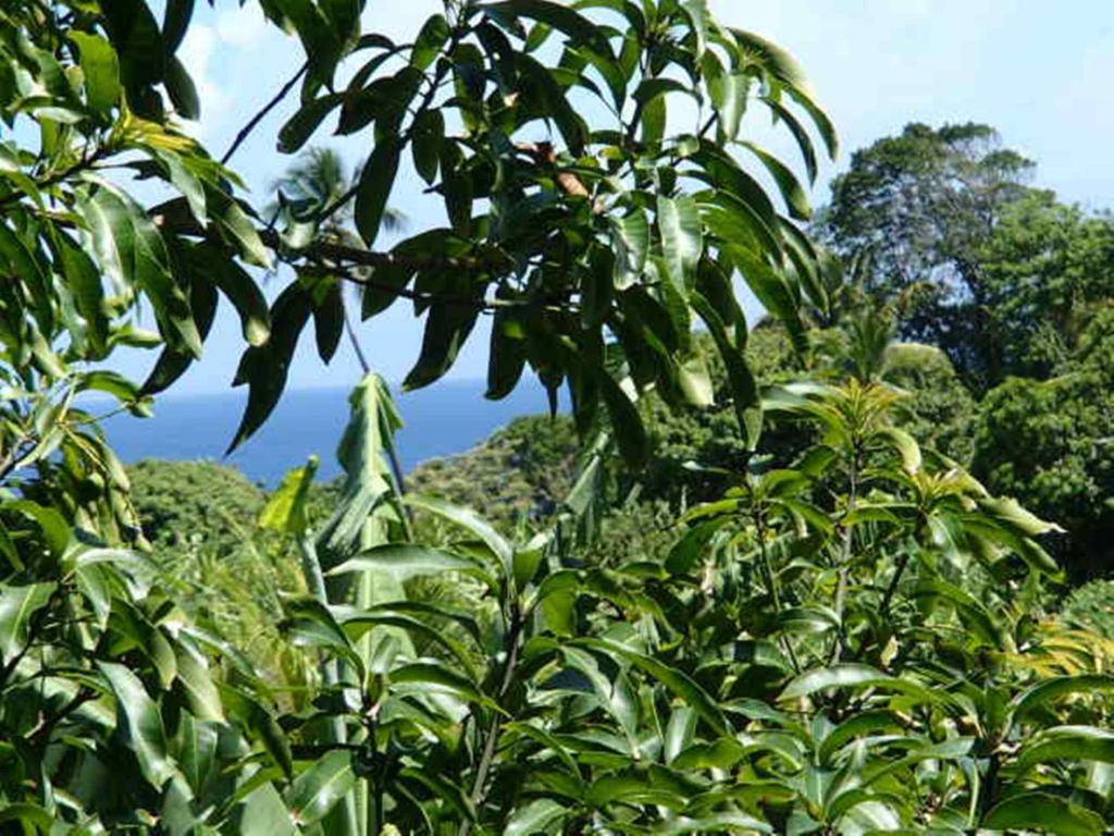 Paesaggio naturale nelle vicinanze dell'appartamento