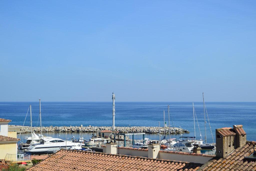 Foto dalla galleria di PALMERAIE 40 a Sari Solenzara