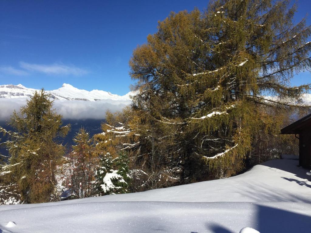 Chalet Pierre Blanche - Resim 32