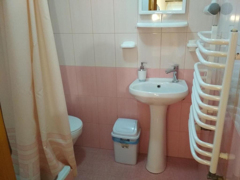 Koupelna v ubytování U dida Grytsya