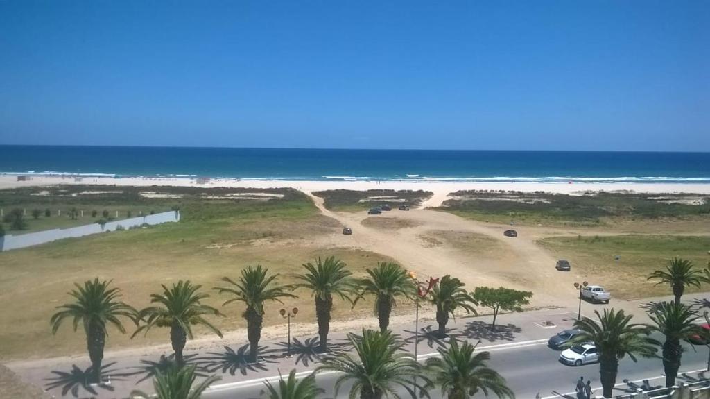 - une vue sur la plage bordée de palmiers et l'océan dans l'établissement Bel appartement face à la méditerranée, à Bizerte