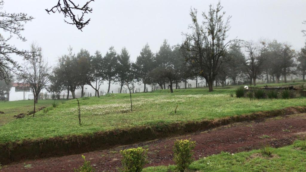 Zahrada ubytování Cabañas Huerta la Mision, Zacatlán