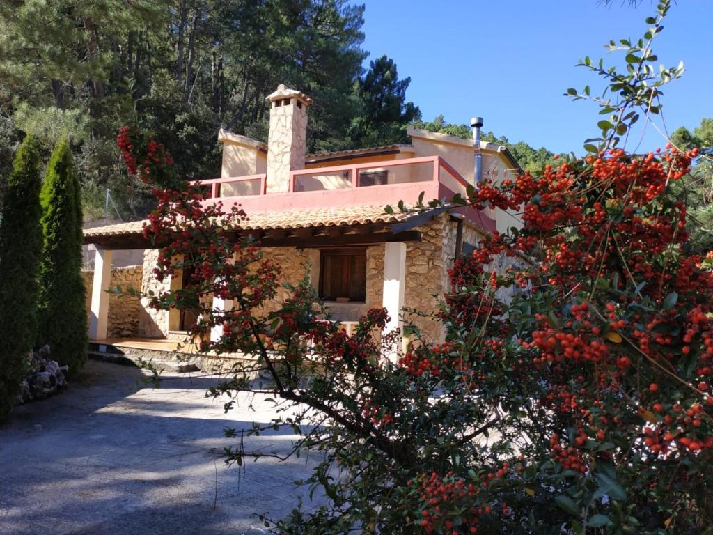 una casa con flores rojas delante de ella en Casa Rural Villa Concha en Riópar