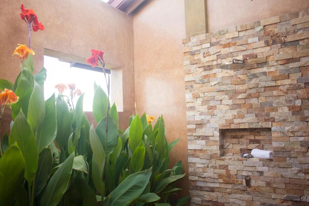 Wild Lotus Yala - 10