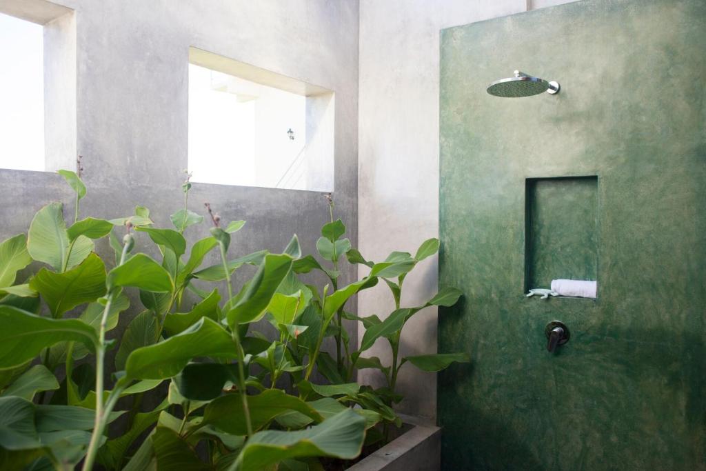 Wild Lotus Yala - 16