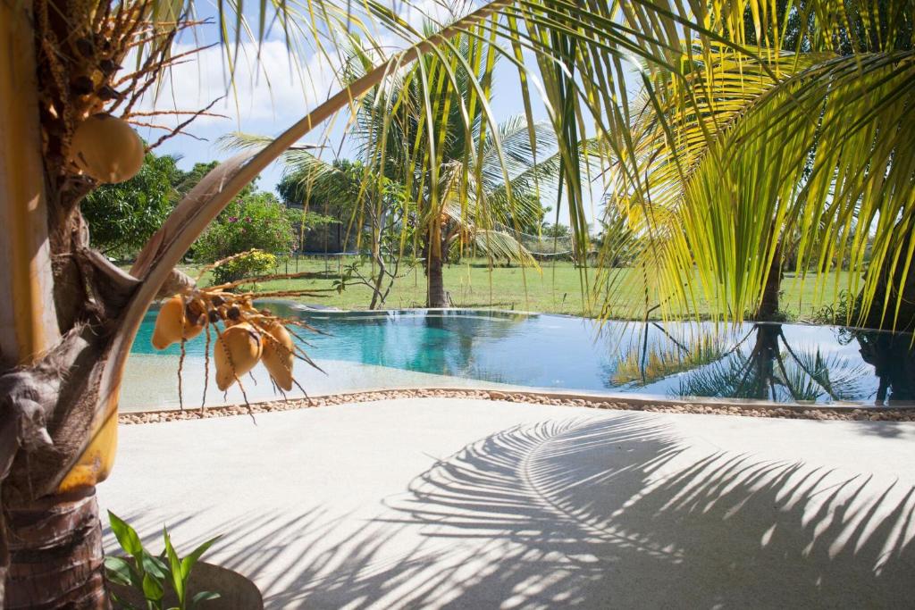 Wild Lotus Yala - 19