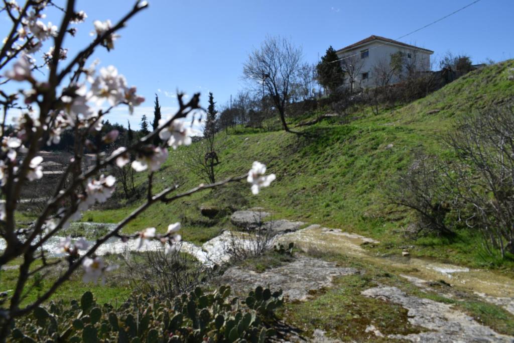 a hill with a house on top of it at Oasis of CalmnessΕ in Ardánion