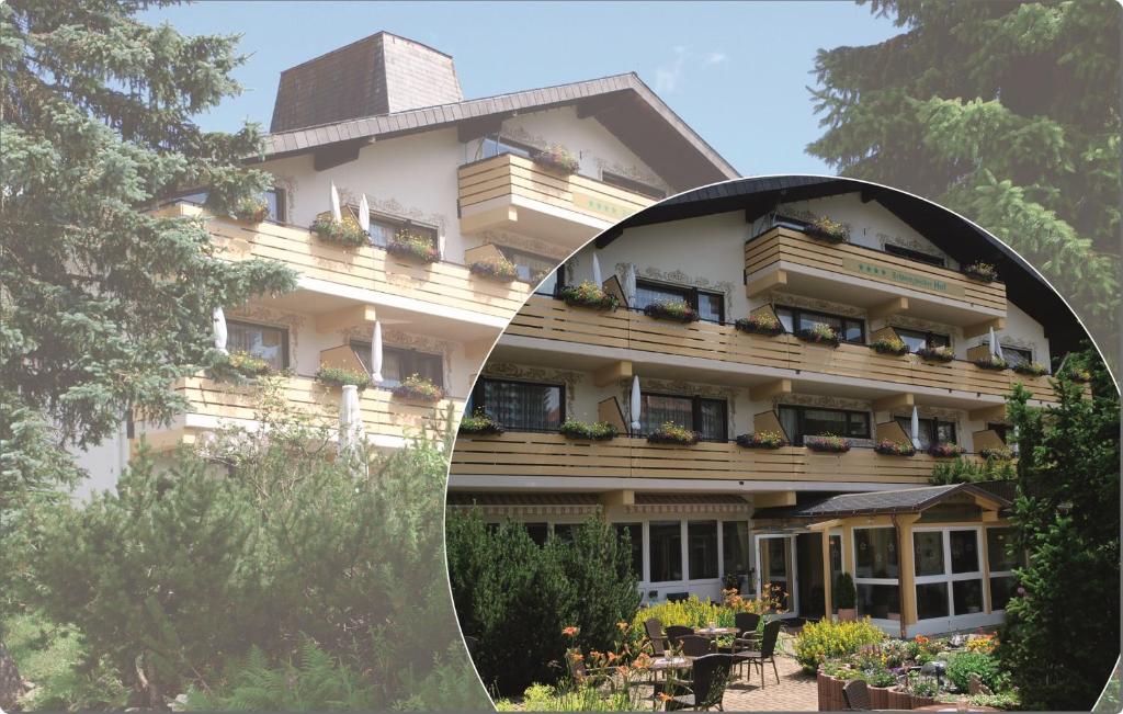 a reflection of a building with plants on its windows at Ferienhotel Schwarzwälder Hof in Feldberg