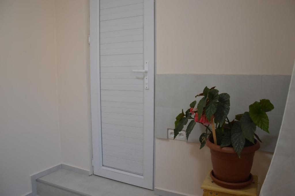 Fotografie z fotogalerie ubytování Ailama Guesthouse v destinaci Mestia