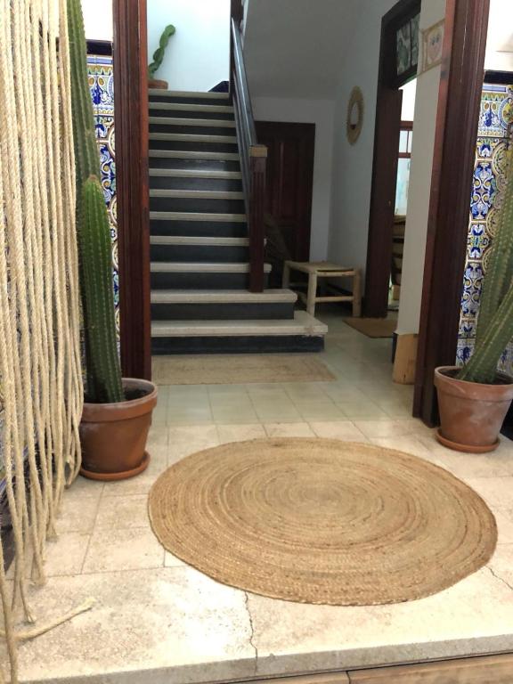 Cactus Host, Las Palmas de Gran Canaria (updated prices 2026)