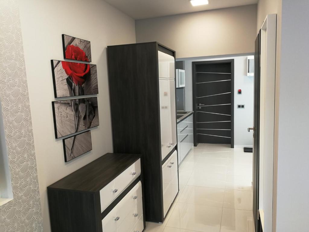 Kuchyň nebo kuchyňský kout v ubytování AQUA SOLAR APARTMANHÁZ