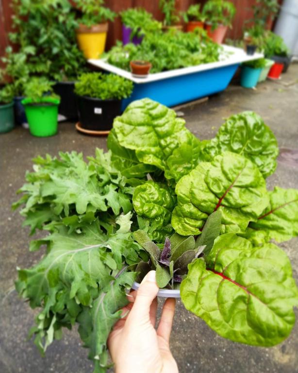 Crashpalace Napier - Resim 38