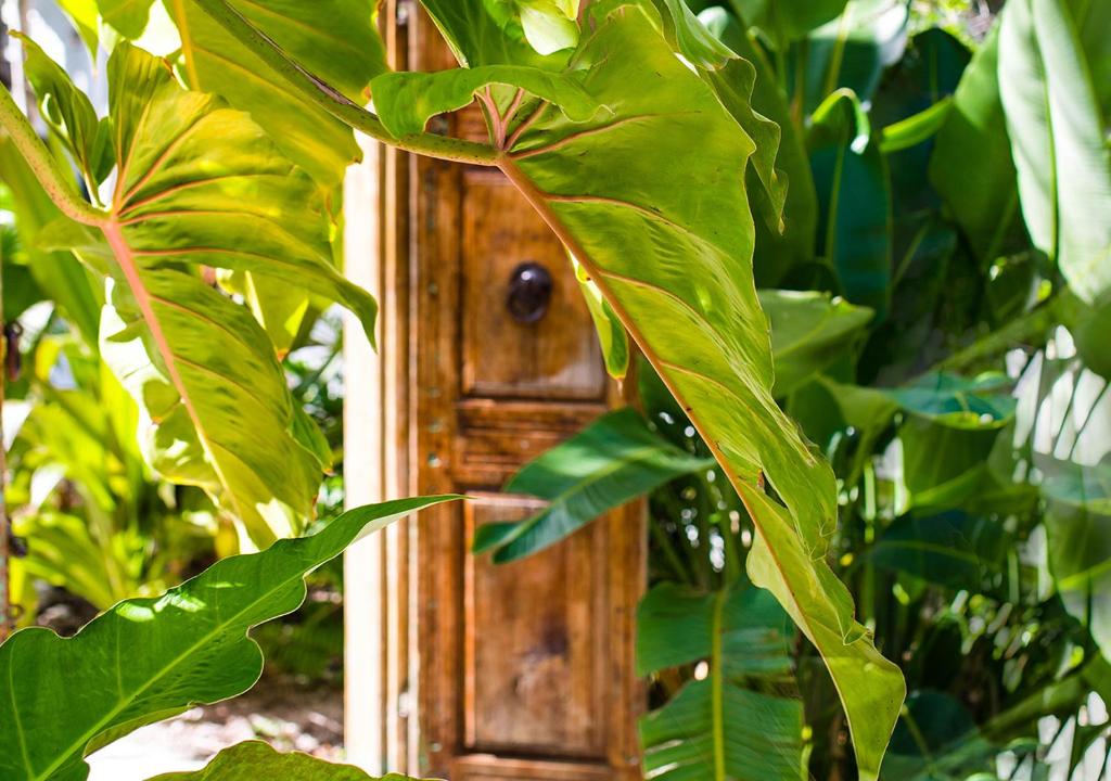 Ein Garten an der Unterkunft Parrot Key Hotel &amp; Villas