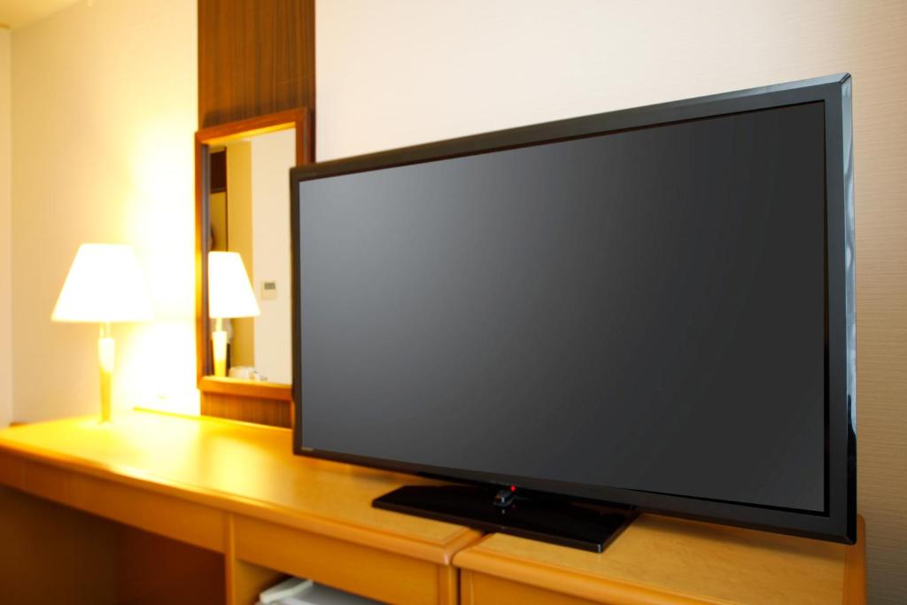 TV a/nebo společenská místnost v ubytování Hotel Sunroute Hikone