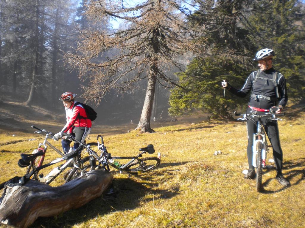 Hosté ubytování Ferienwohnungen Forellenhof Waldner